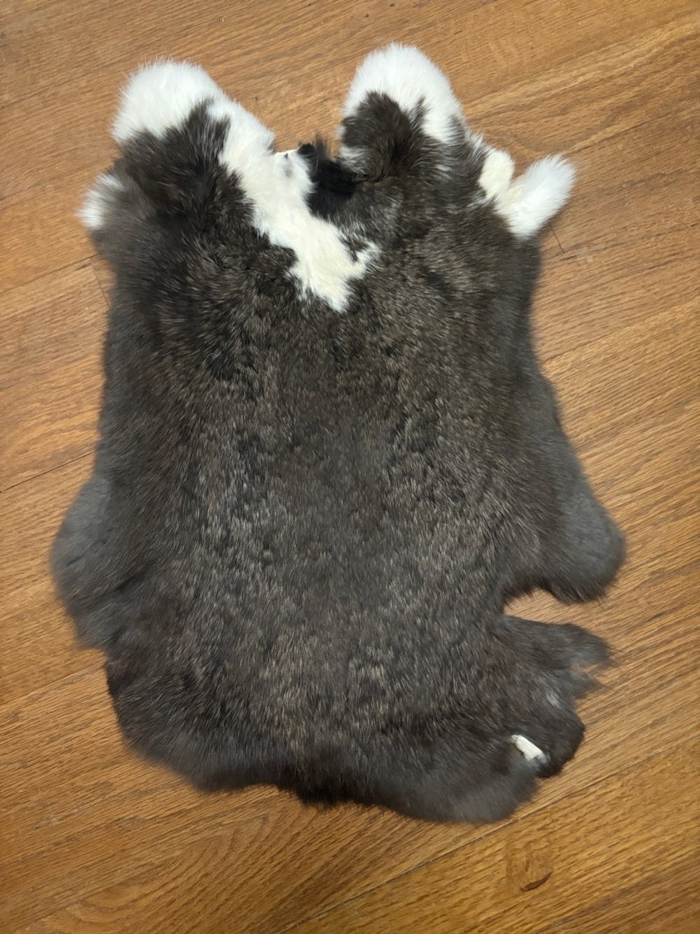 0860 rabbit fur pelt